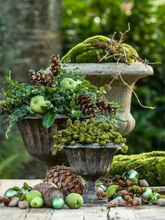 an arrangement of plants and rocks on a table in front of some trees with moss growing out of them