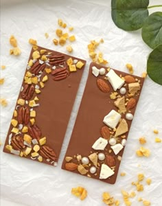 two pieces of chocolate with nuts and almonds on top, next to some leaves