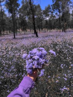 a person in a field with purple flowers on their head and trees in the background