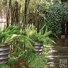 several large metal pots with plants in them