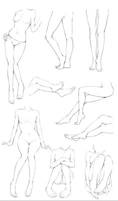 the different positions and shapes of a woman's body