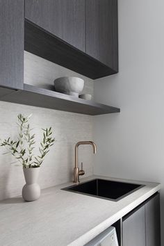 a kitchen counter with a sink, dishwasher and plants