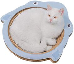 a white cat is sitting in a blue and brown pet bed that has holes on the sides