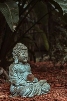 a buddha statue sitting in the middle of some red mulchy ground next to trees