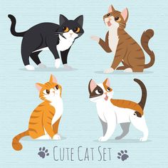 three cats are sitting and standing in different poses with the words cute cat set above them