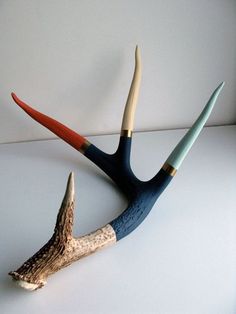 two different colored antelope stems on a white surface