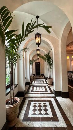 the hallway is lined with potted plants and decorative tile flooring, along with an arched doorway