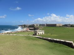 a large grassy field next to the ocean