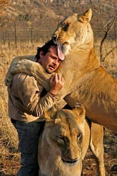 a man is hugging a lion in the wild