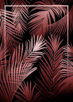 a black and red palm leaf pattern with a white square in the middle on a dark background