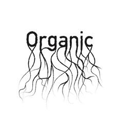 the word organic written in black ink on a white background with long, curly hair