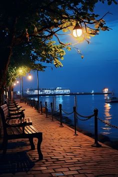 benches along the water at night with street lights on and boats in the ocean behind them