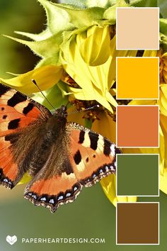 a butterfly sitting on top of a yellow flower next to green and brown colors swatches