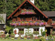 a house with flowers growing on the roof