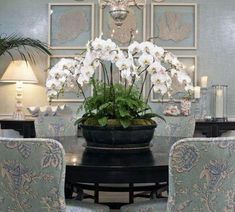 a dining room table with chairs and a potted plant on it's centerpiece