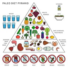 Healthy Husband, Paleo Food Pyramid, Husband Food, Fruits With Low Sugar, Paleo Nutrition, Paleo Diet Meal Plan, Paleo Workout, Fitness Board