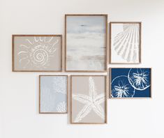 six framed pictures hang on the wall with seashells and starfish in them