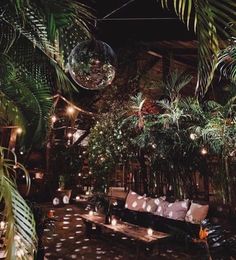 an outdoor seating area with plants and lights