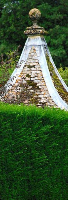 the top of a building is covered in moss