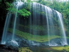 there is a large waterfall in the middle of the forest with lots of water cascading over it