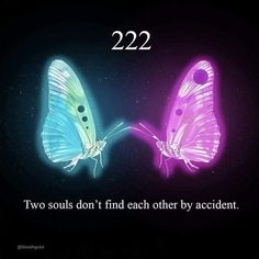 two colorful butterflies facing each other with the caption 22 22, two souls don't find each other by accident