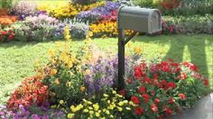 a mailbox in the middle of a flower garden