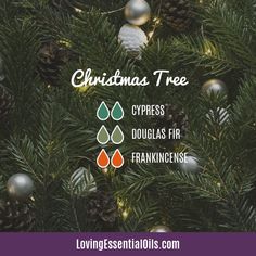 Christmas Tree Essential Oil, Christmas Spirit Essential Oil, Christmas Diffuser Blends, Doterra Diffuser Blends, Essential Oil Diffuser Recipes, Oil Diffuser Recipes, Essential Oil Blends Recipes