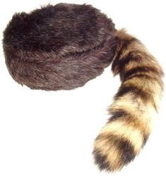 A racoon hat akin to those worn by the likes of Davey Crockett and Daniel Boone Davy Crocket, Davy Crockett, Toro Inoue, Daniel Boone, Moonrise Kingdom, The Lone Ranger, Davos, Cat Tail, The Medium