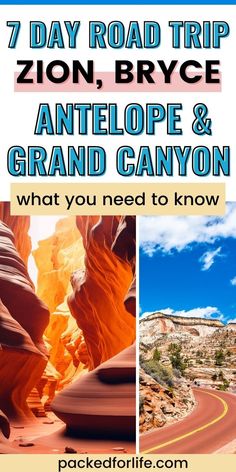 Zion-Carmel road, and wavy rock at Antelope Canyon. 7 Day road trip; Zion, Bryce, Antelope & Grand Canyon. Road Trip Utah, National Parks Road Trip, National Parks America, Outdoor Vacation