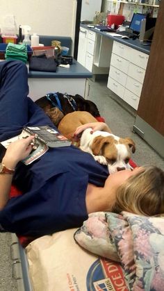 a woman laying on top of a bed with two dogs sleeping next to each other