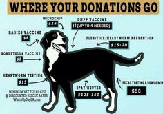 a black and white dog standing in front of a blue background with the words where your donations go