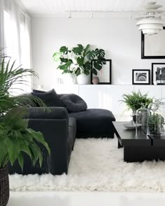 a living room filled with black furniture and lots of plants on top of a white rug