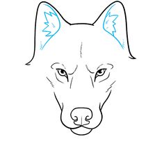 the outline of a dog's head with blue eyes and ears, drawn by hand