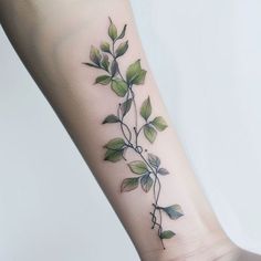 Vine Tattoo Art Collection Green Vine Tattoos For Women, Nature Shoulder Cap Tattoo, Tattooed Plus Size Women, Wrap Around Tattoo, Shoulder Cap Tattoo, Vine Tattoos, Floral Tattoo Sleeve, Cute Little Tattoos, Feminine Tattoos