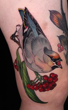 a bird sitting on top of a plant with berries around its neck and back legs