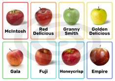 an image of apples with names in english