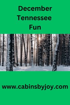 the words december tennessee fun are displayed in front of a green background with trees and snow