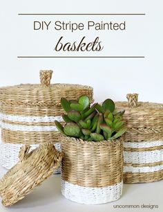 three wicker baskets with succulents in them and the words diy stripe painted baskets