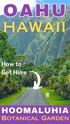 the book cover for how to get here by oahuu hawaii and botanical garden