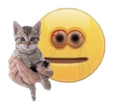 a person holding a kitten in front of a smiley face