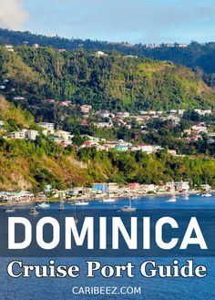 Dominica cruise port guide Princess Cruises Caribbean, Roseau Dominica, Celebrity Cruise, Caribbean Island, Princess Cruises, Best Cruise