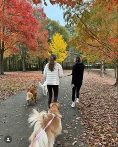 Two women take a Fall walk through foliage with goldens. Gilmore Girls Seasons, Pride Makeup, Fall Lookbook, Autumn Morning, Healthy Girl, Fall For You