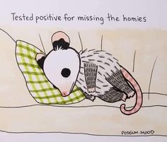 a drawing of a rat laying on top of a bed with the caption tested positive for missing the homes