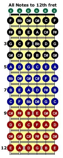 an image of the number of letters in each letter, with different colors and sizes