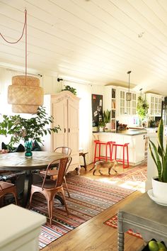 an open kitchen and dining room with plants in the center, on top of a rug