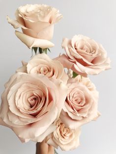 a vase filled with pink roses on top of a table