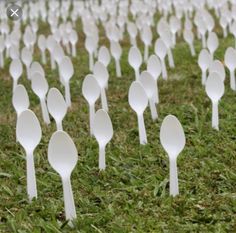 white plastic spoons are lined up in the grass with forks sticking out of them