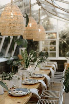 a long table with plates and cups on it in a room that has plants hanging from the ceiling