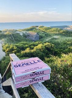 a pink box sitting on top of a set of stairs next to the ocean and trees