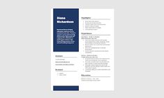 a blue and white resume template with the words data richness written in bold font